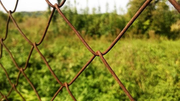 Ile kosztuje zagospodarowanie działki po budowie domu?