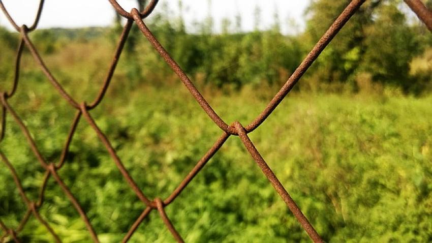 Ile kosztuje zagospodarowanie działki po budowie domu?