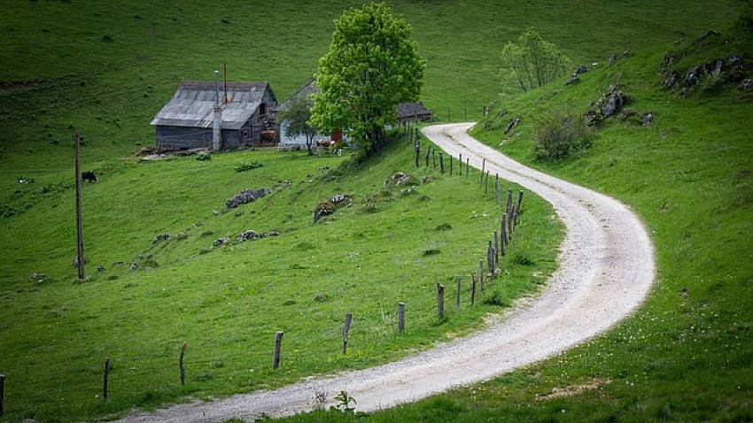 Dojazd na działkę: droga wąska, wspólna i 12 innych trudnych przypadków