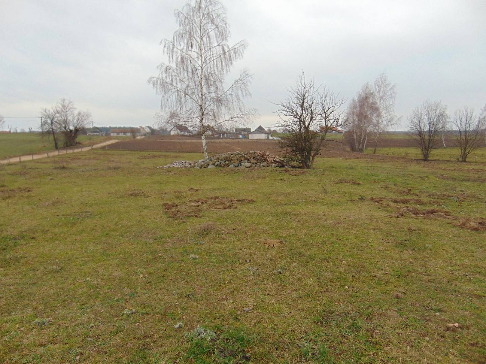 Budowa Rafała i Emilki