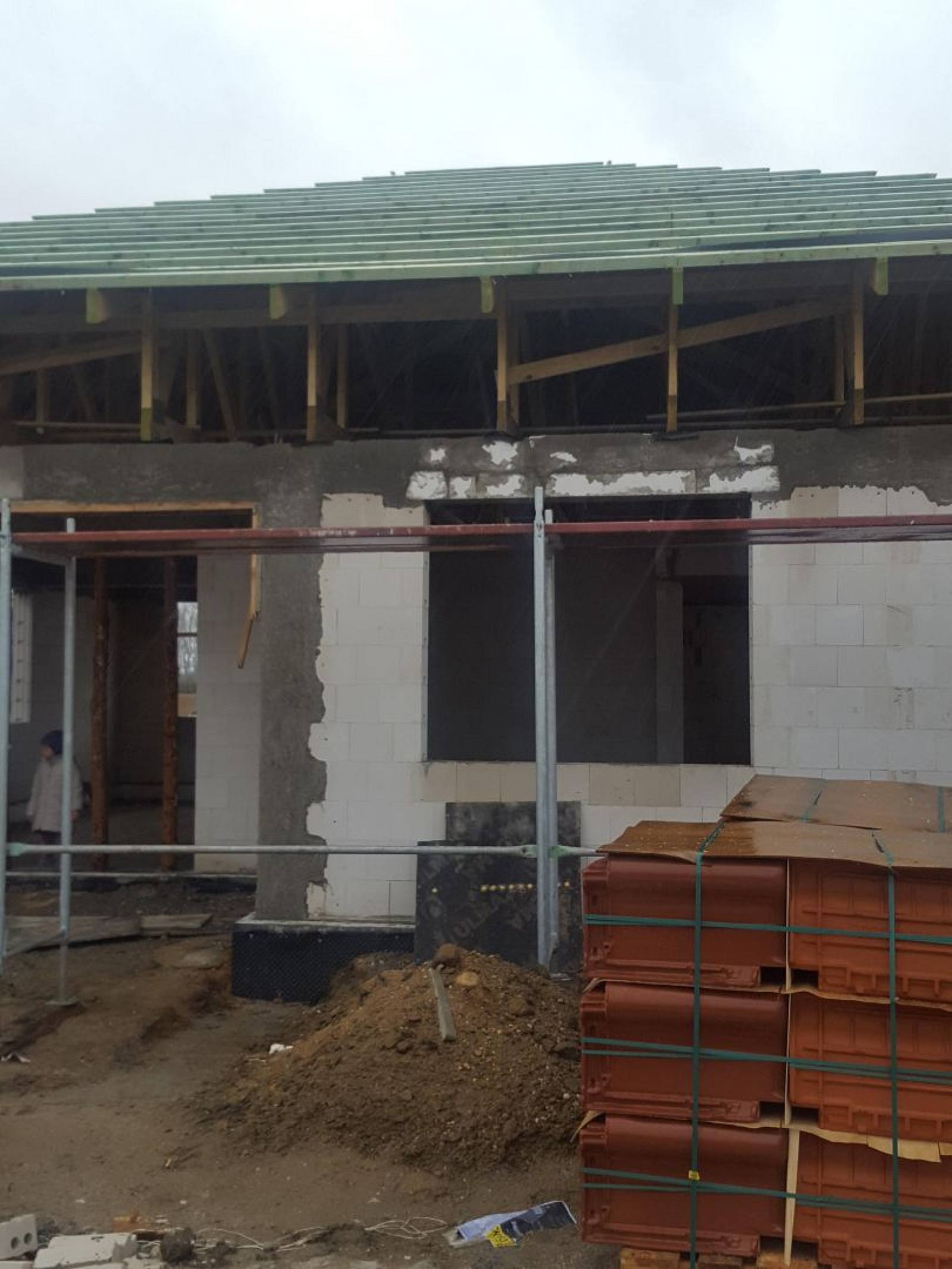 BUDOWA ANETY ARTURA I NIKOLKI