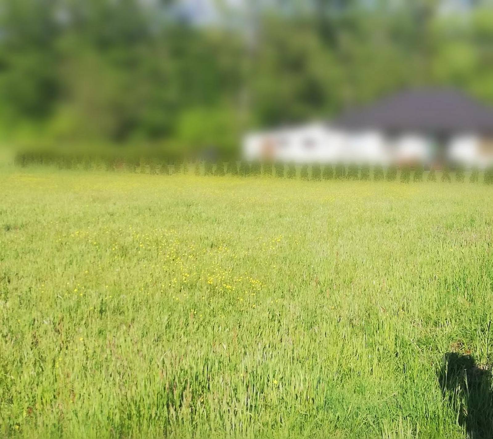 Projekt Kasia & Marcin