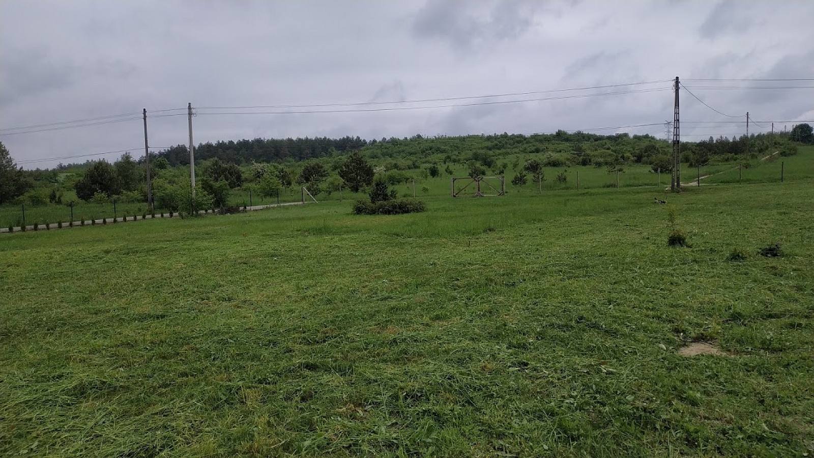 Budowa Iwony i Grzegorza