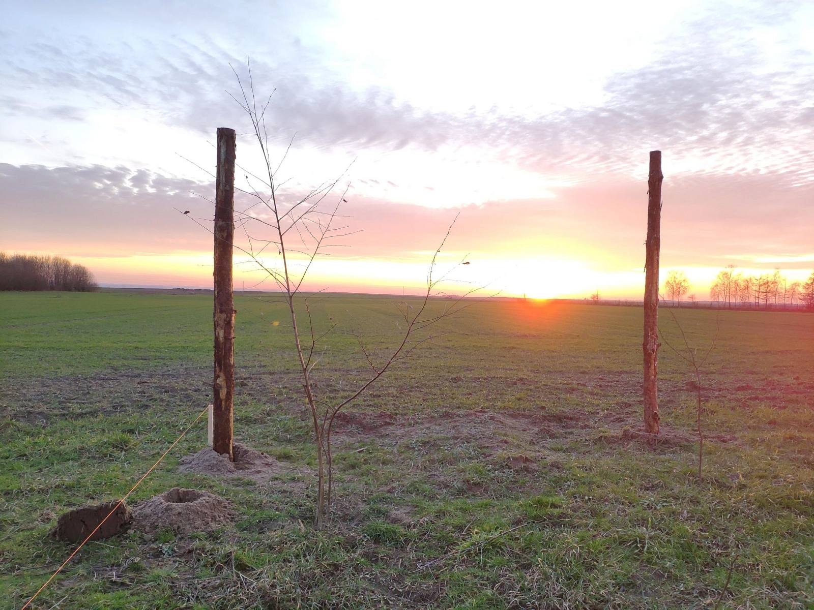 Budowa Lidii i Łukasza