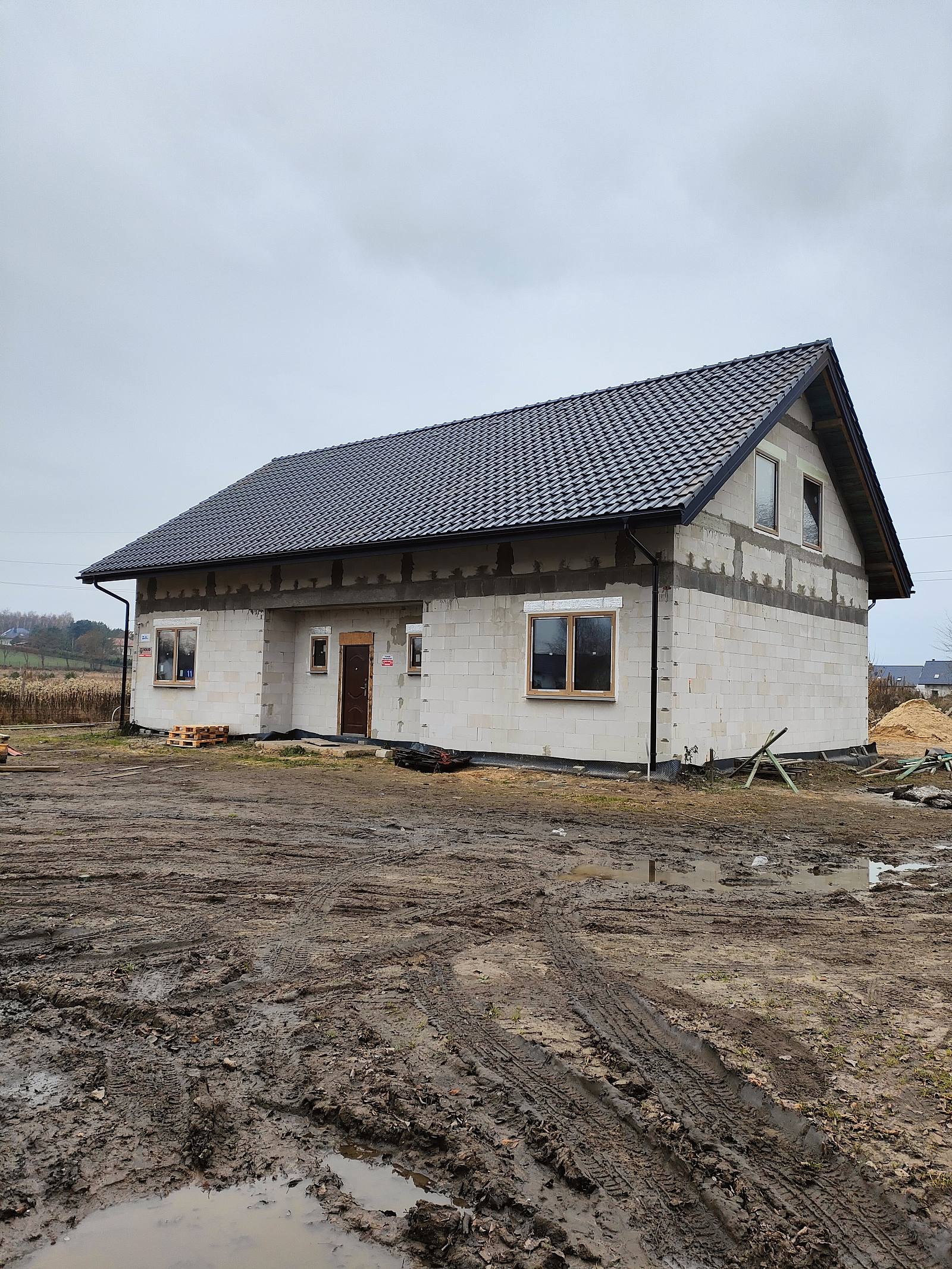 Budowa Dawida I Gosi