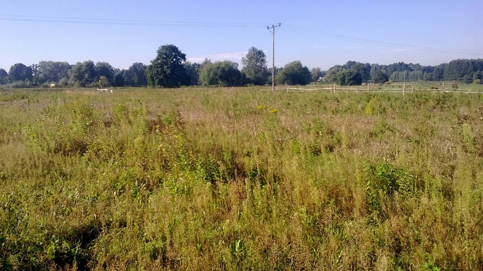 Budowa Natalii i Seby