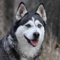 Zdjęcie profilowe