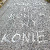 Zdjęcie profilowe